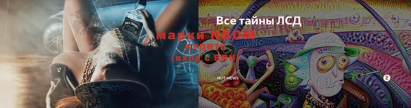 тгк Лиски
