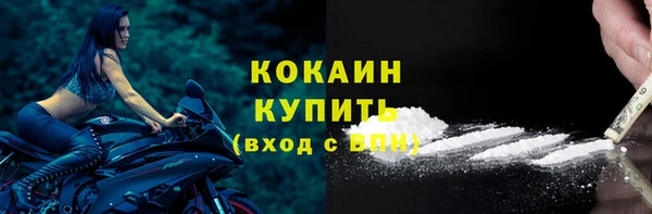 тгк Лиски