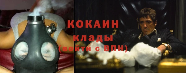 тгк Лиски