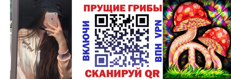 Купить  Изобильный  Псилоцибиновые грибы Psilocybe 